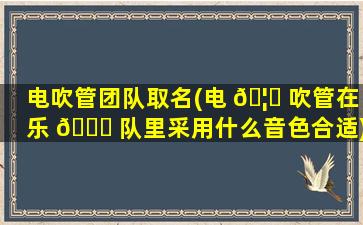 电吹管团队取名(电 🦄 吹管在乐 🐛 队里采用什么音色合适)